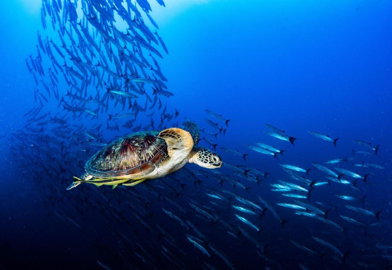 Sanctum Una Una Eco Dive Resort Pulau Unauna Exteriör bild