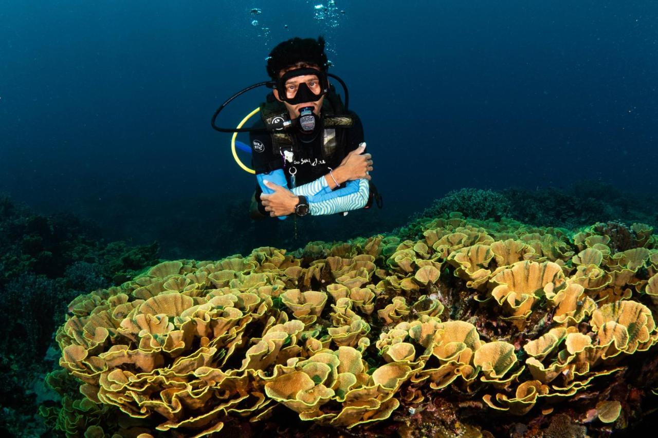 Sanctum Una Una Eco Dive Resort Pulau Unauna Exteriör bild