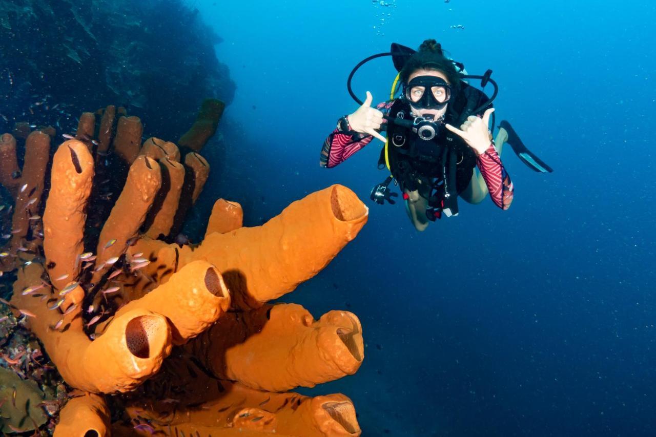 Sanctum Una Una Eco Dive Resort Pulau Unauna Exteriör bild