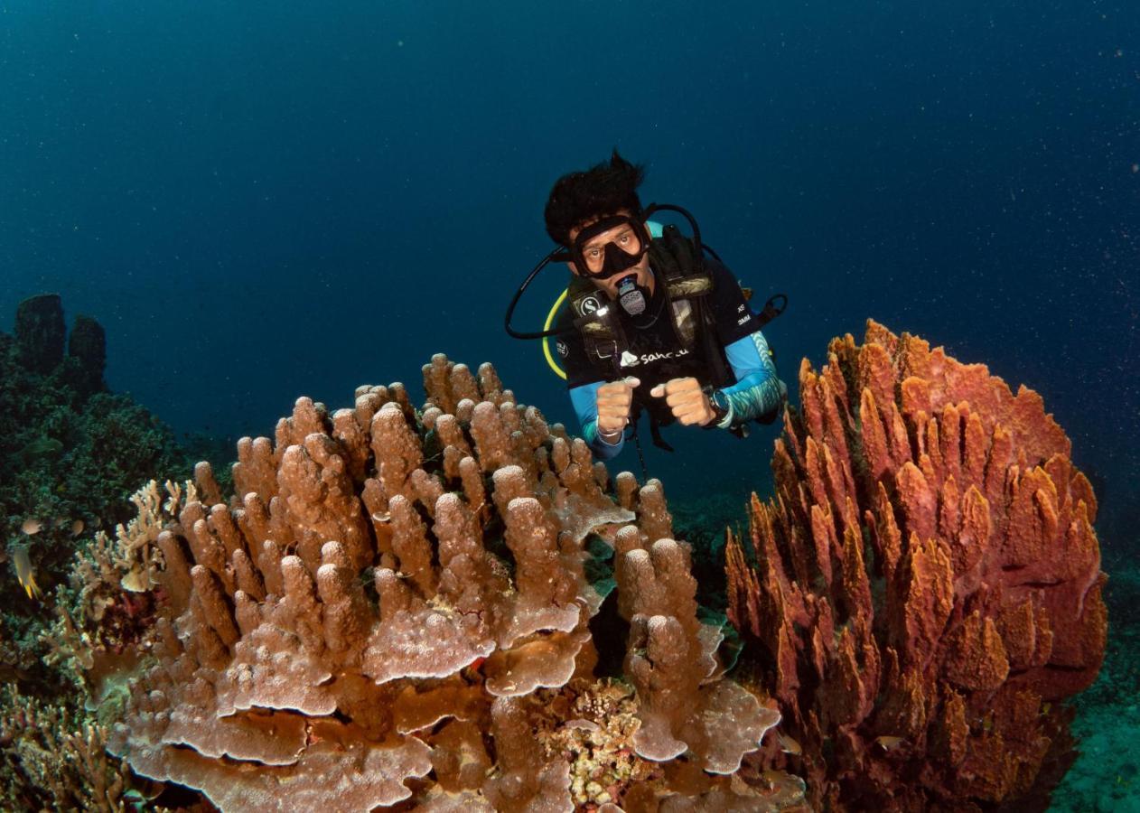 Sanctum Una Una Eco Dive Resort Pulau Unauna Exteriör bild