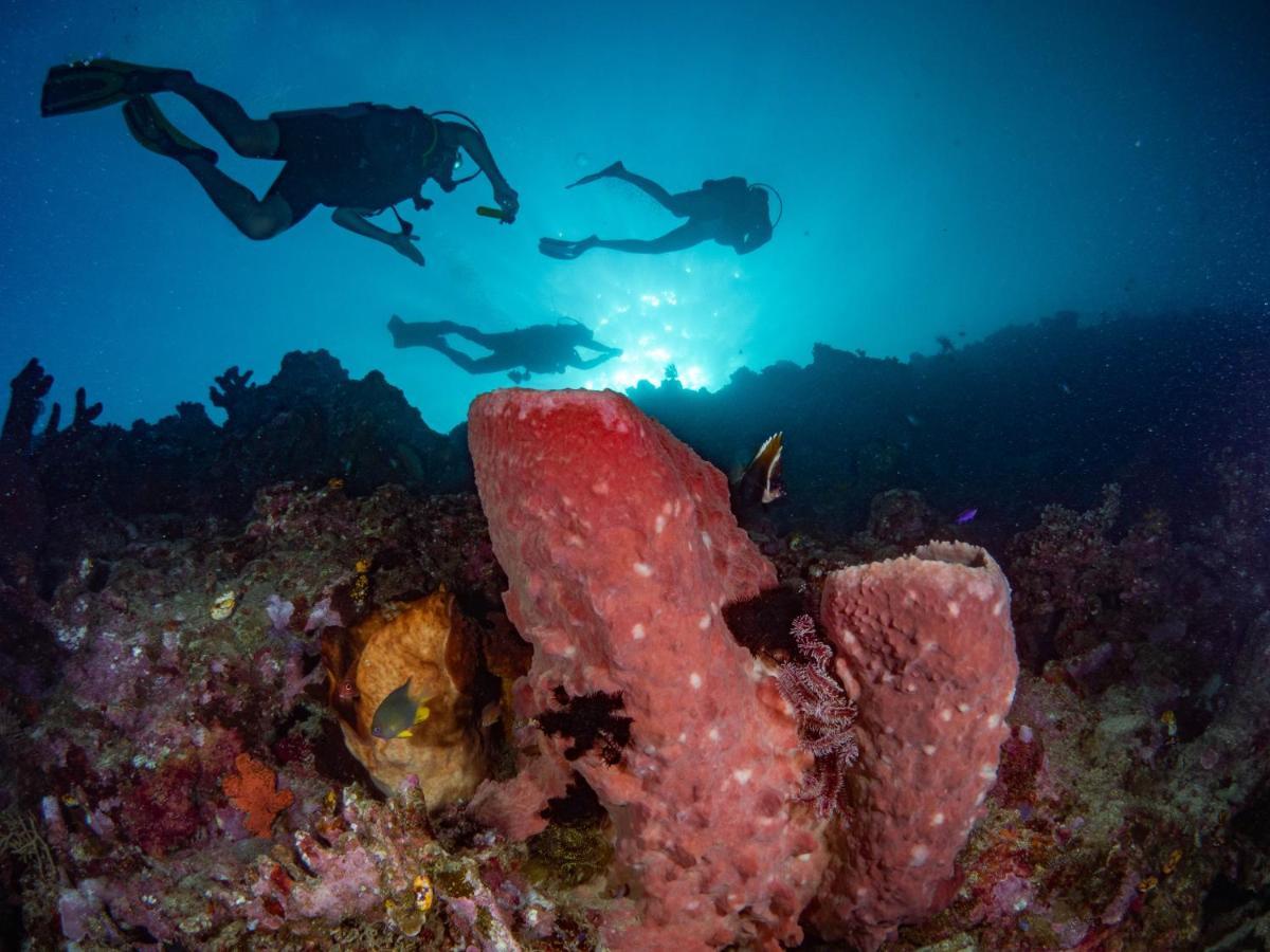 Sanctum Una Una Eco Dive Resort Pulau Unauna Exteriör bild