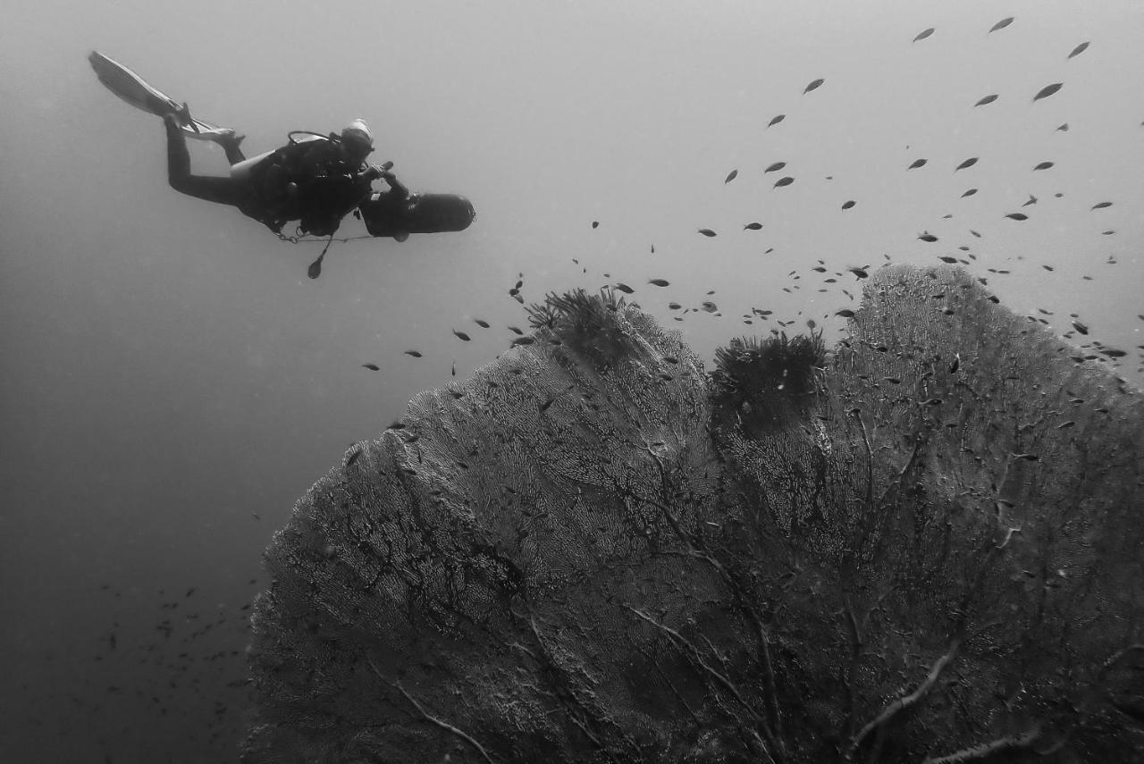 Sanctum Una Una Eco Dive Resort Pulau Unauna Exteriör bild