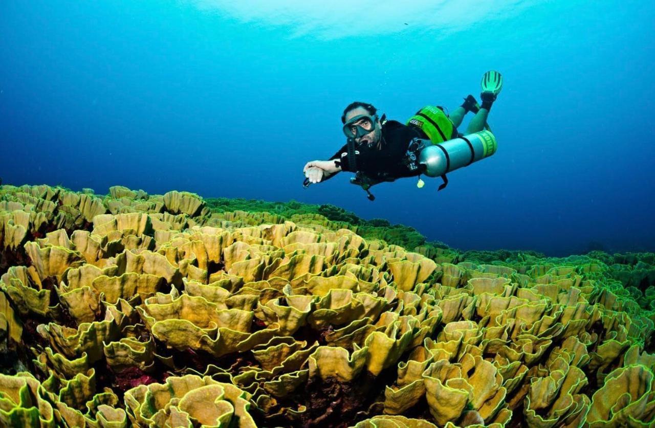 Sanctum Una Una Eco Dive Resort Pulau Unauna Exteriör bild