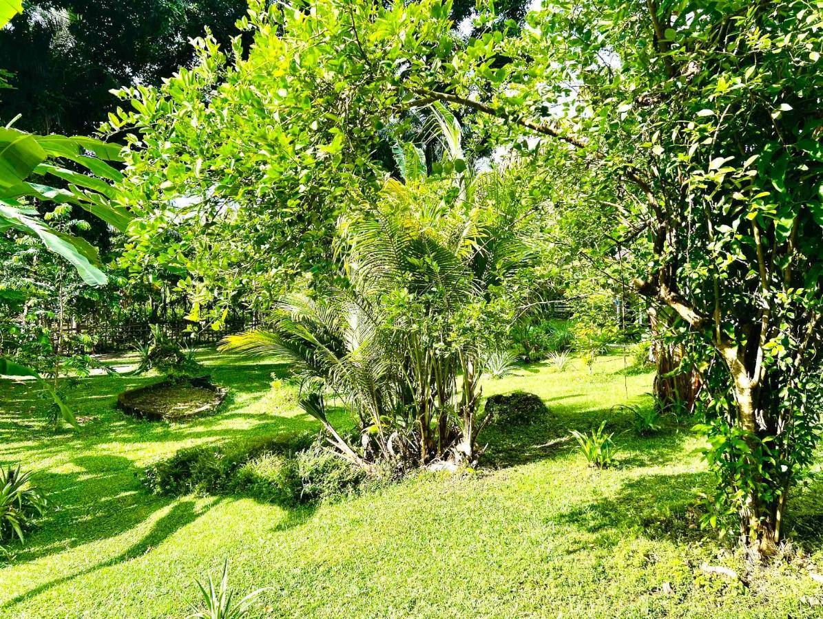 Sanctum Una Una Eco Dive Resort Pulau Unauna Exteriör bild