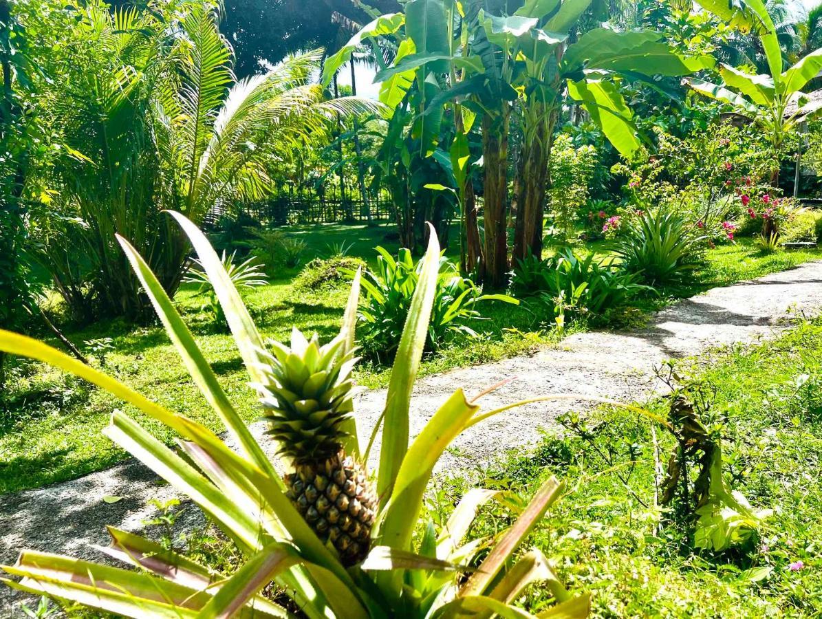 Sanctum Una Una Eco Dive Resort Pulau Unauna Exteriör bild