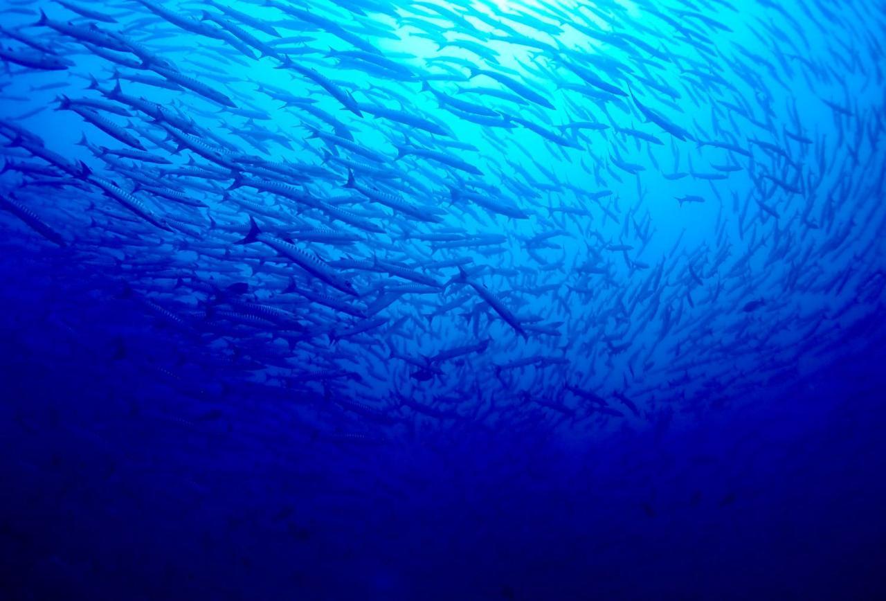 Sanctum Una Una Eco Dive Resort Pulau Unauna Exteriör bild