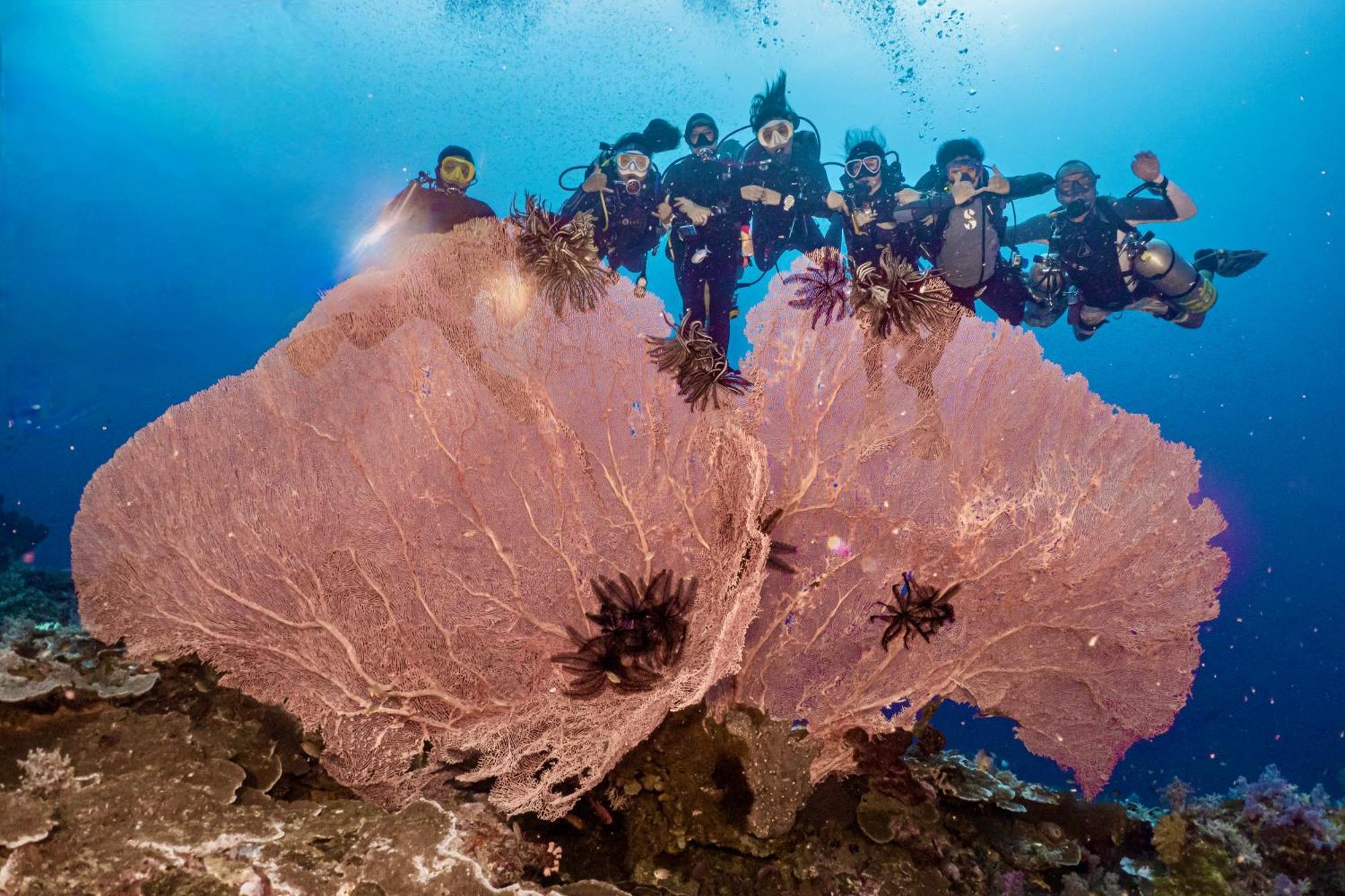 Sanctum Una Una Eco Dive Resort Pulau Unauna Exteriör bild